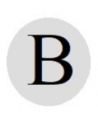 Бусины с буквами серебристые круглые B